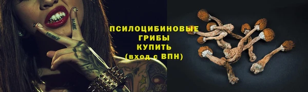 2c-b Зеленодольск