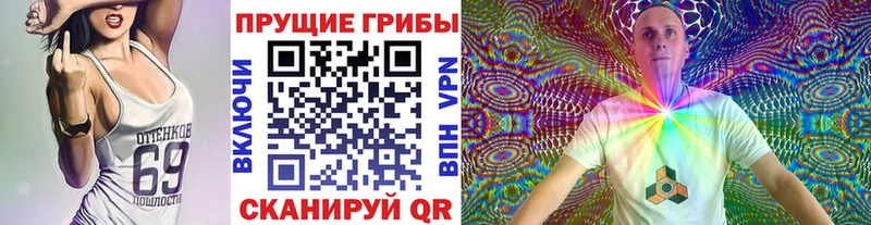 Купить закладки  Заинск  Галлюциногенные грибы ЛСД 